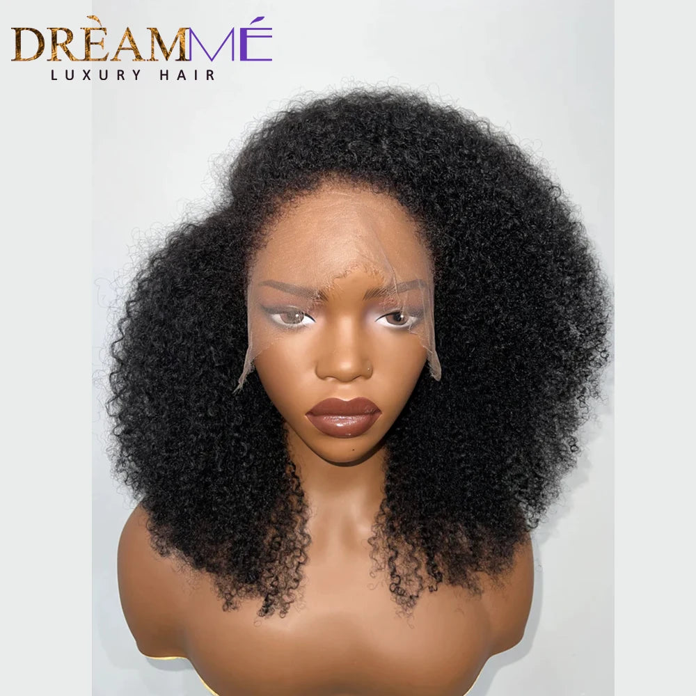Afro Kinky Curly Wig With 4c Kinky Edges 250 Density 13x4 Lace Front Human Hair Wig Short Curly Human Hair Wigs Pre-Plucked