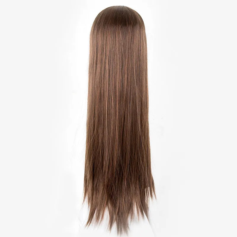 Brown Wig Synthetic Heat Resistant Fiber Long Straight Hair Salon Middle Part