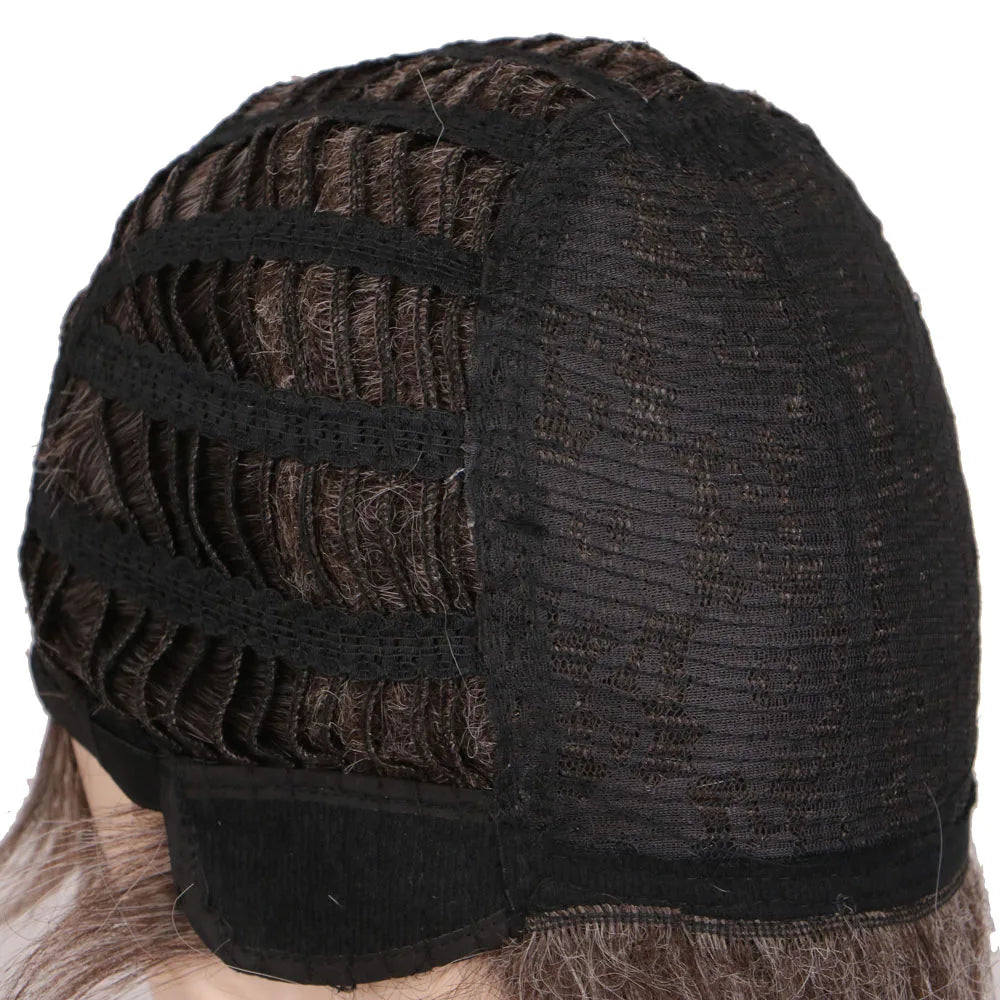 Classic Curly Wig Hair Synthetic Natural Cosplay Brown WIth Blonde Heat Resistant Daily Wigs