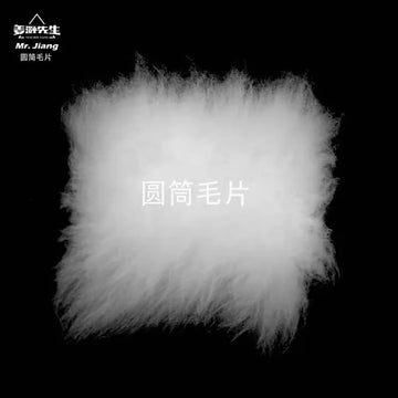 Pet Wig Grooming Cylinder Pack of Tablets Model Dog Groomer Practice (