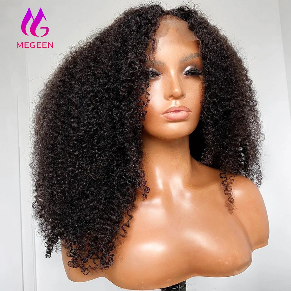 Afro Kinky Curly Human Hair Lace Front Wig — 13x4 Lace, Pre-Plucked
