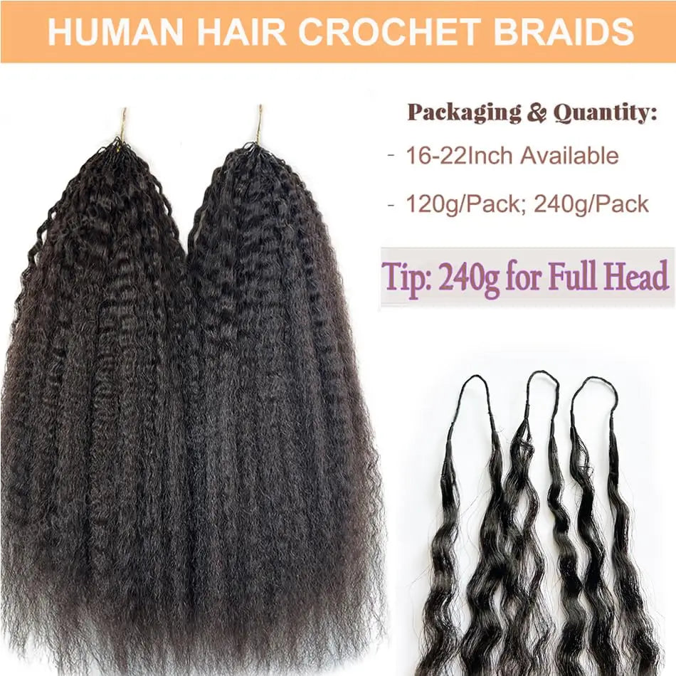 Kinky Straight Human Crochet Hair Extensions, 26-30 Inch, Pre-Separated Feather Crochet, Natural Black