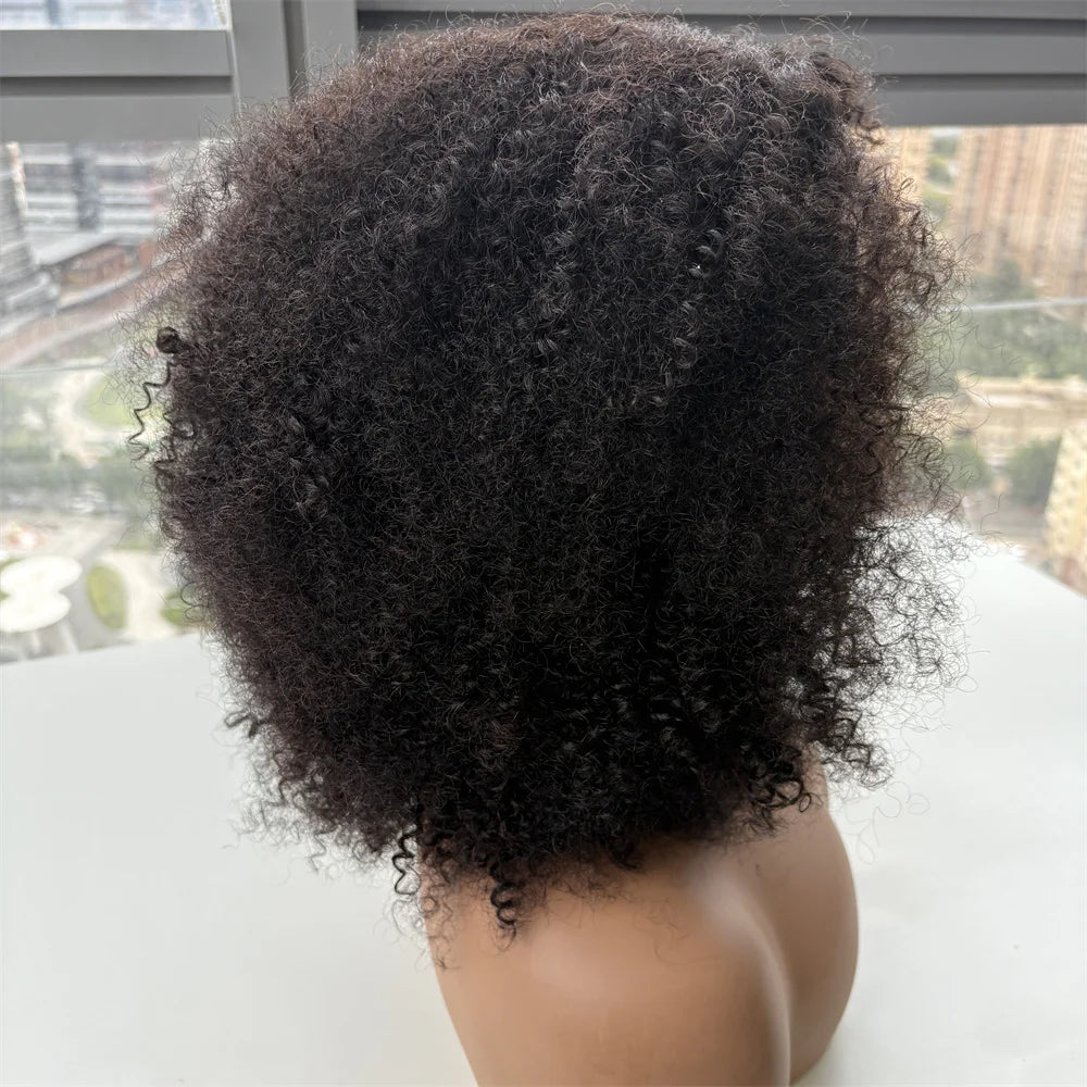 Glueless Wig Human Hair Afro Kinky Curly, 5x5 Closure Lace Brazilian Wear