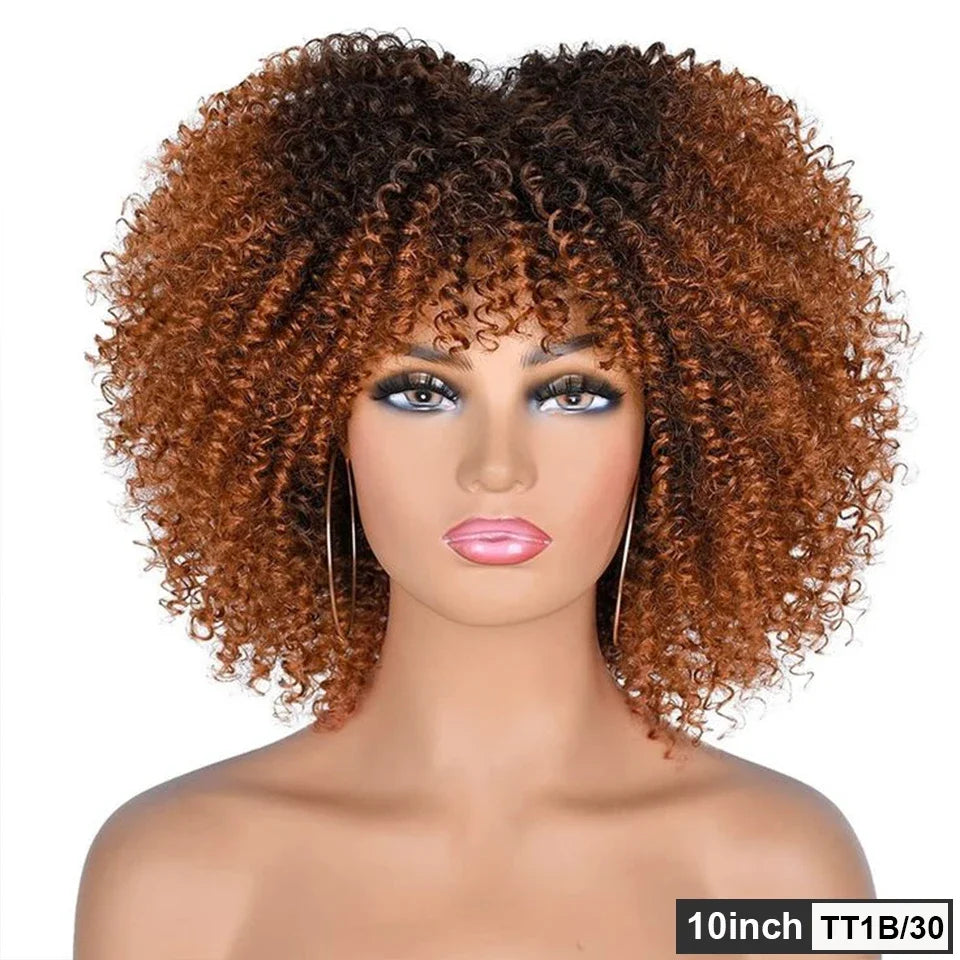 Brazilian Short Curly Human Hair Wig Natural Brown Color Afro Kinky Bangs