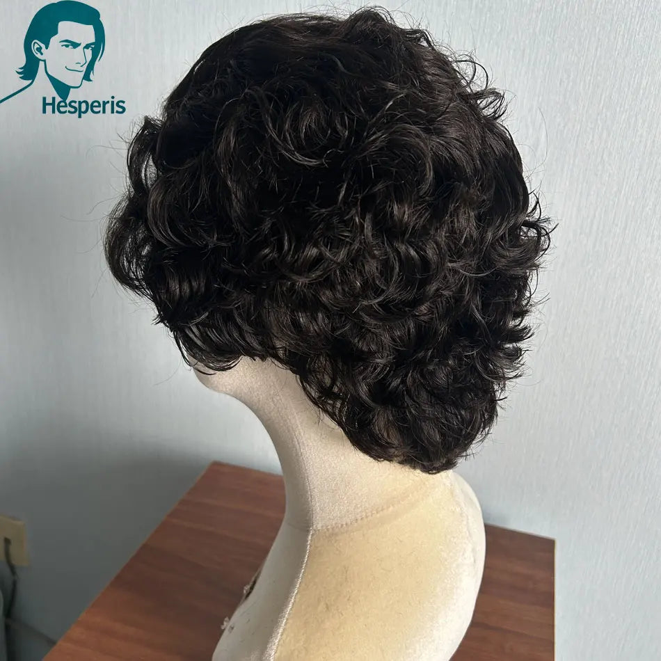 Short Curly Wigs Pre Plucked Brazilian Rem Pixiecu, 13x6 Lace Front Human
