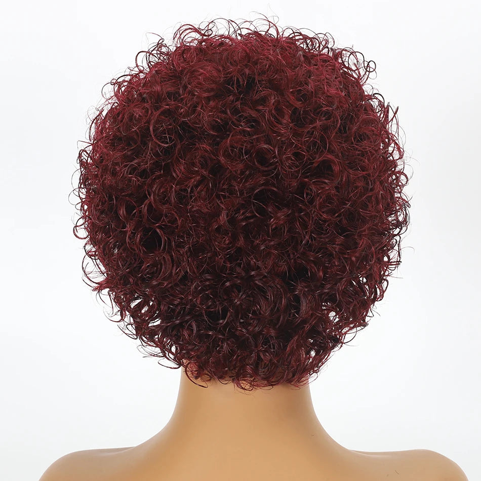 Curly Pixie Cut Wig Lace Human Hair Water Wave Short Bob, 13x1