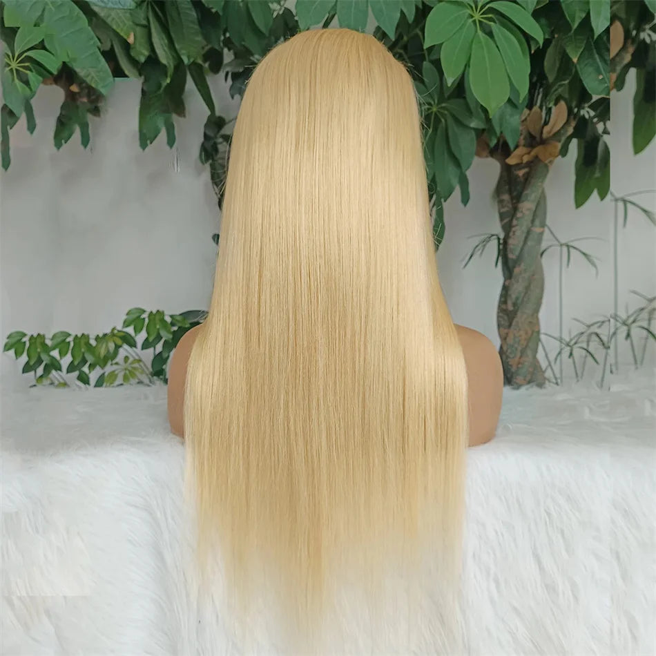 613 Blonde Straight Full Lace Human Hair Wig, Transparent Lace Frontal