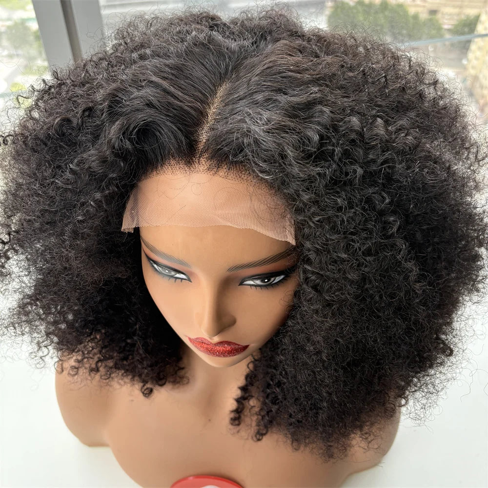 Glueless Wig Human Hair Afro Kinky Curly, 5x5 Closure Lace Brazilian Wear