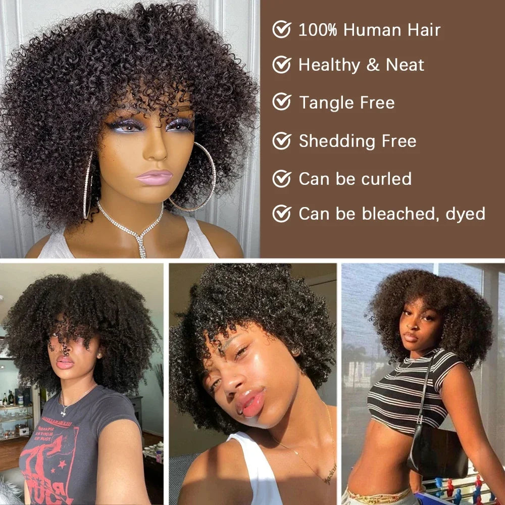 Mongolian Curly Afro Kinky Human Hair Wigs Bangs Without Glue Bouncy Density