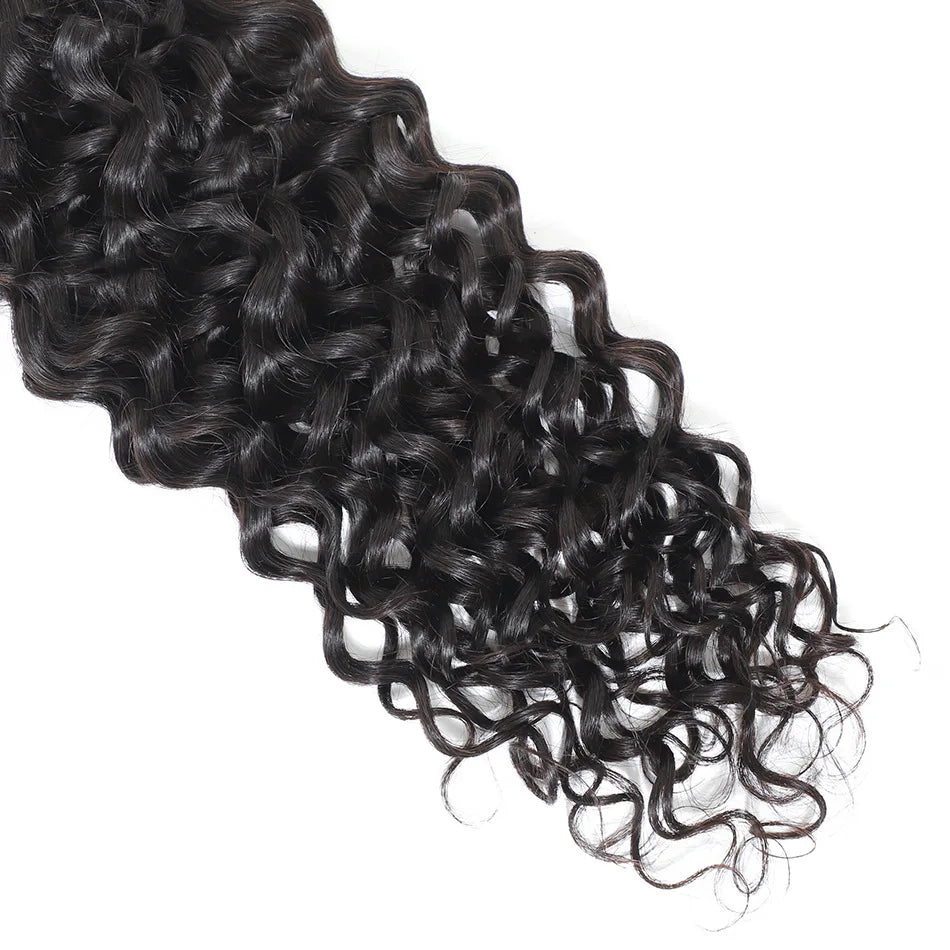Water Wave Human Hair 4x4 Transparent Lace Closure Natural Color 150% Density 10-20 Inch Indian Virgin Hair Full End Pre-Plucked