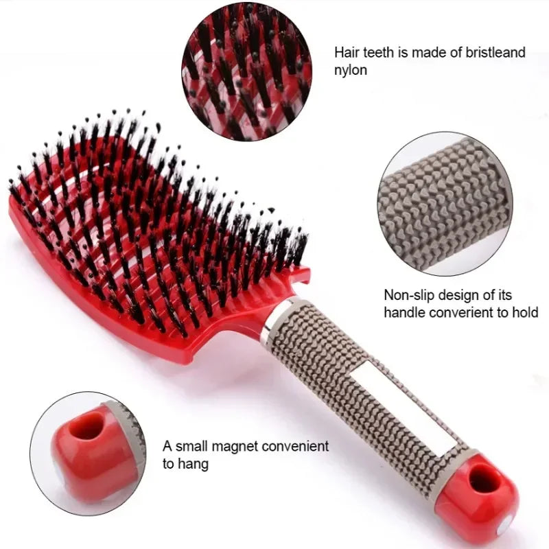 Hair Brush Exfoliating Bristle Women's Wet Curly Comb Salon Styling Tool
