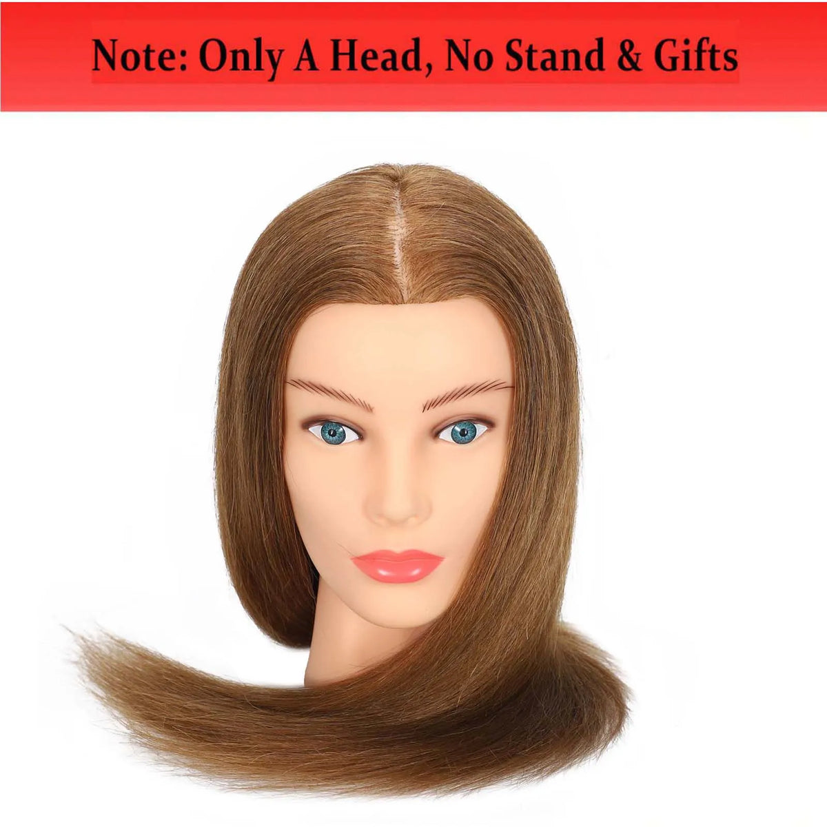 Mannequin Head with 100% Real Human Hair for Cosmetology Hairstyle Practice