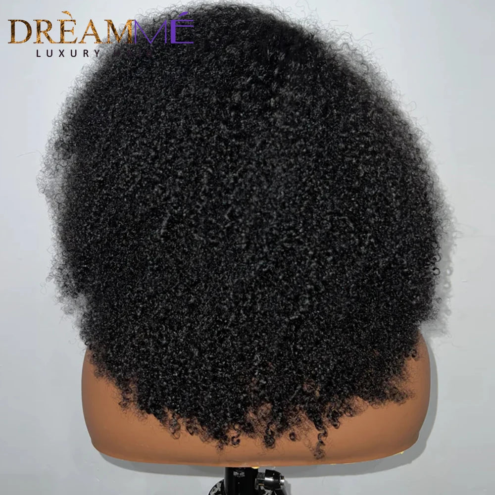 Afro Kinky Curly Wig With 4c Kinky Edges 250 Density 13x4 Lace Front Human Hair Wig Short Curly Human Hair Wigs Pre-Plucked