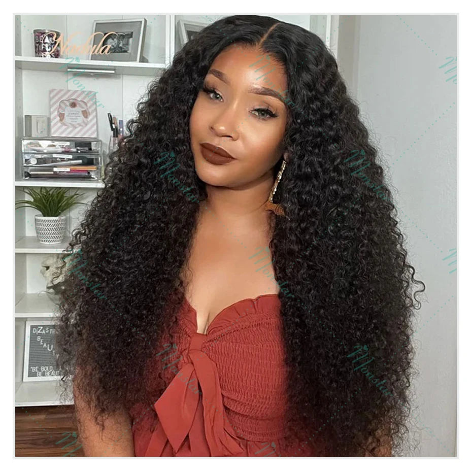 300% Density Kinky Curly Wigs Human Hair, 13x4 HD Lace Front Raw