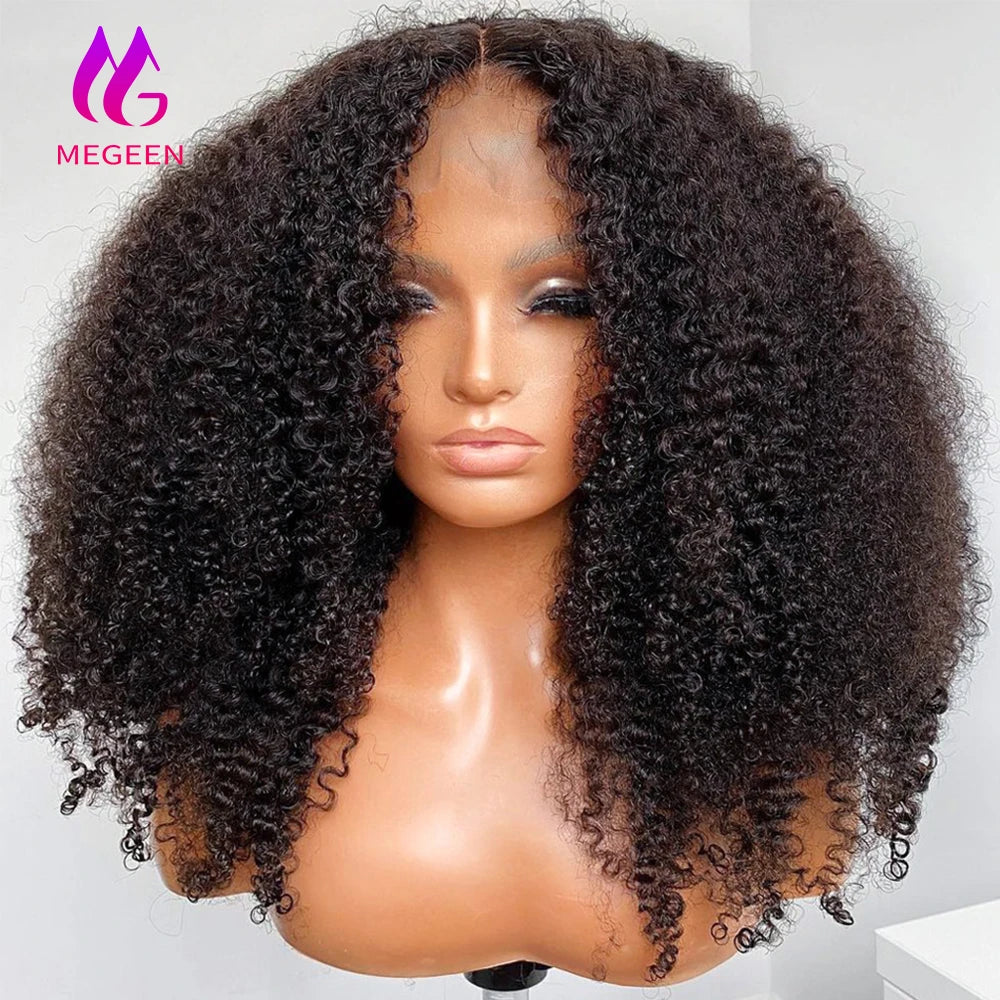 Afro Kinky Curly Human Hair Lace Front Wig — 13x4 Lace, Pre-Plucked