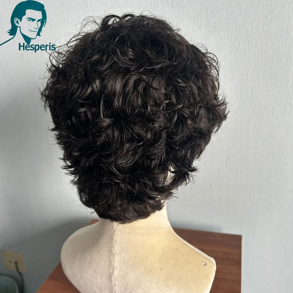 Short Curly Wigs Pre Plucked Brazilian Rem Pixiecu, 13x6 Lace Front Human